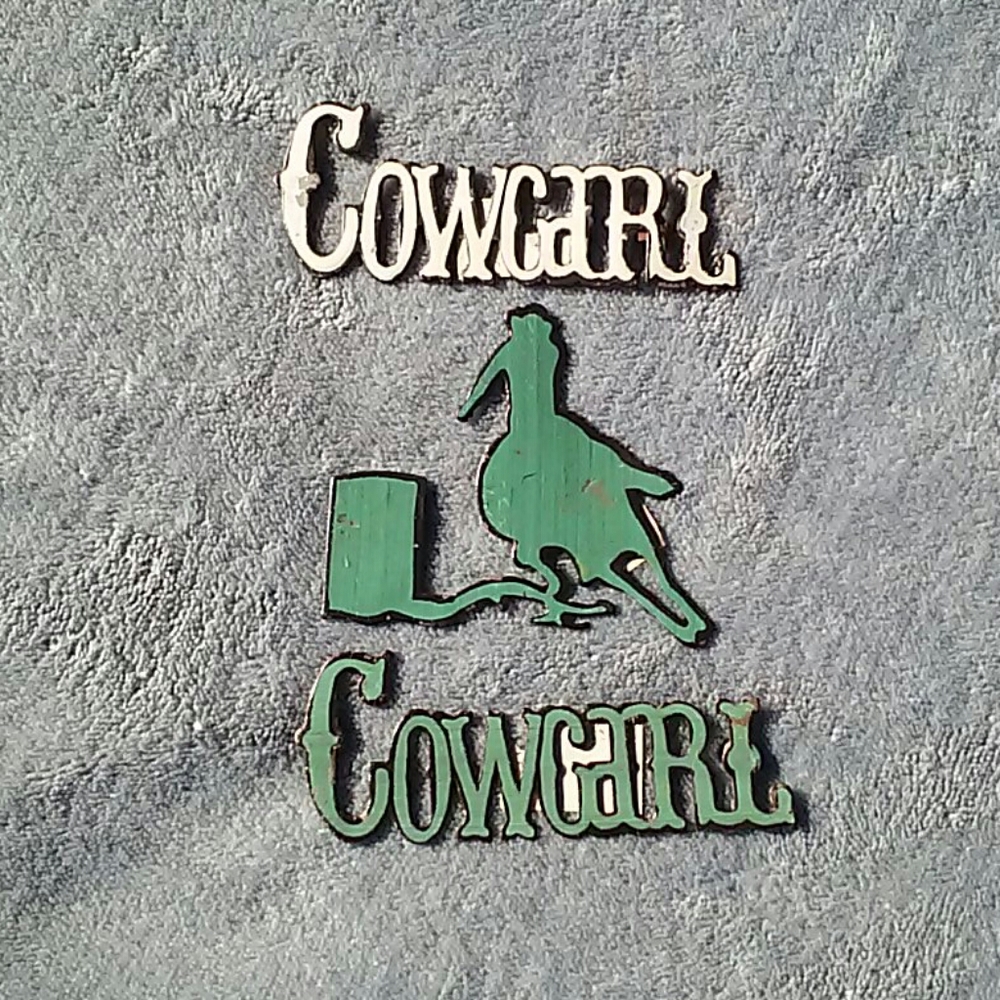 NWOT Metal Cowgirl-Barrel Racer Magnets (bundle)